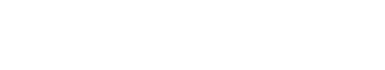 RPI Euro — Bicycle Seat & Parts Manufacturer